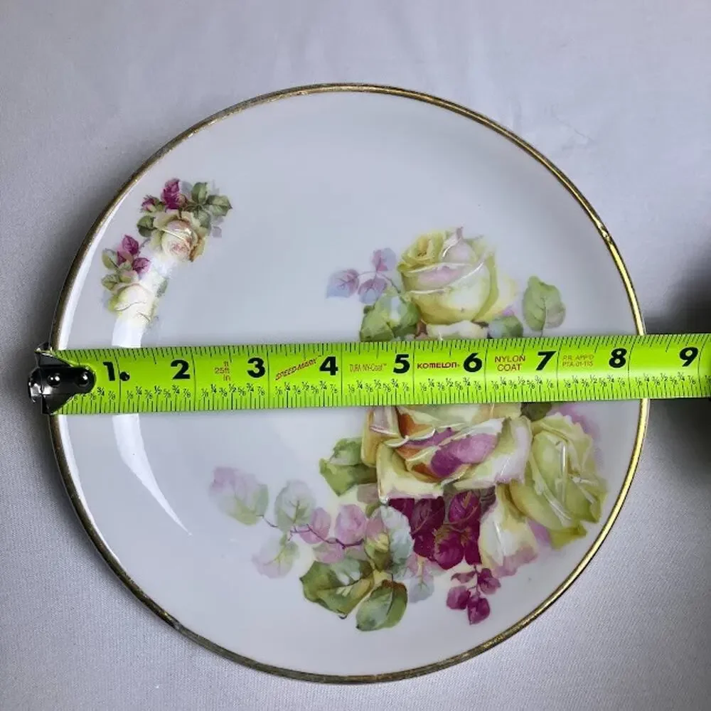 Antique C.T. Altwasser Plate Germany Hand Painted Rose Gold Trim Platter 8.25”